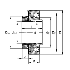 {S 2205-K-2RS-TVH-C3 + H305,  DIN 630  DIN 5415 ˜ʵҪߴ, F׺;oɂȴܷ